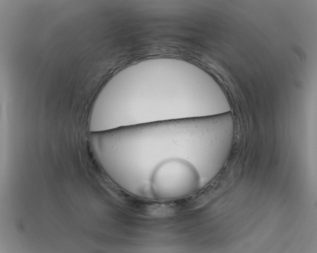 X0000113590465200909181051