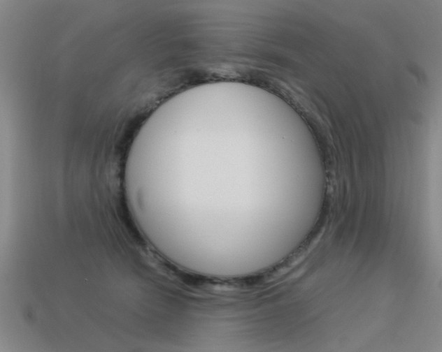 X0000113590466200909181051