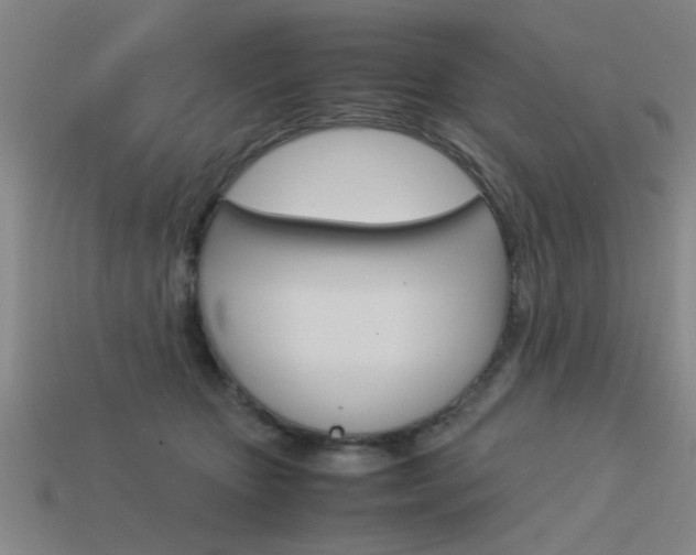 X0000113590467200909181051