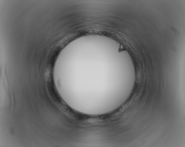 X0000113590468200909181051