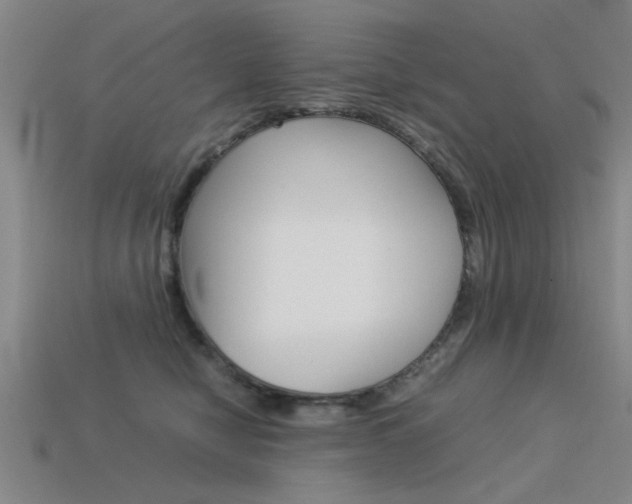 X0000113590470200909181051
