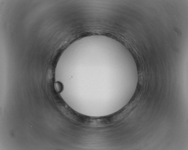 X0000113590472200909181051