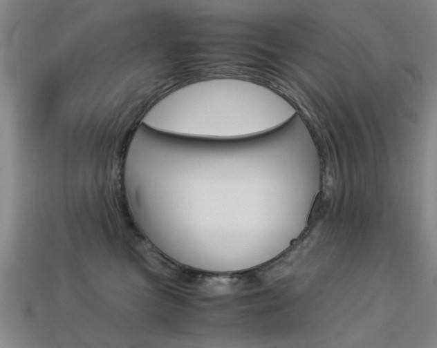 X0000113590473200909181052