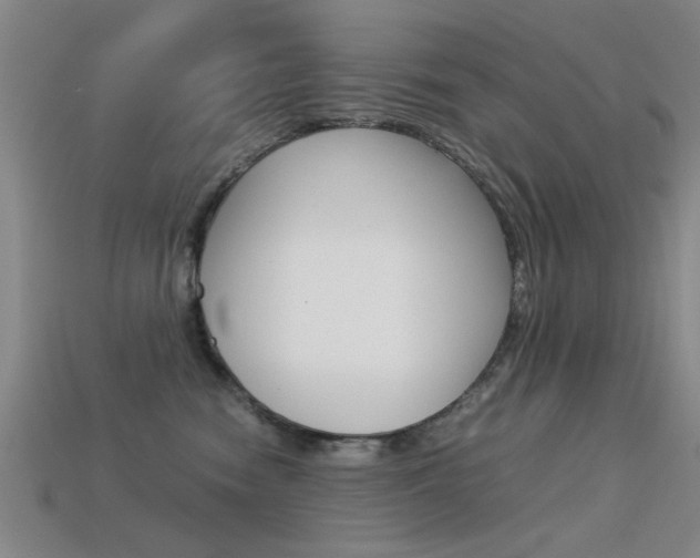 X0000113590474200909181052