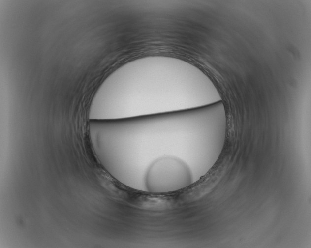 X0000113590475200909181052