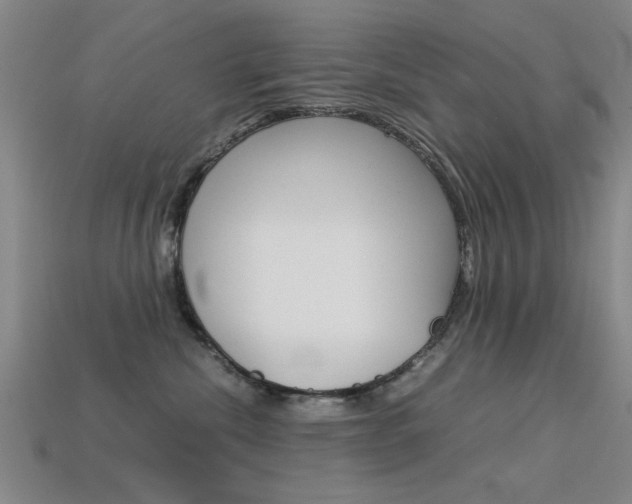 X0000113590476200909181052
