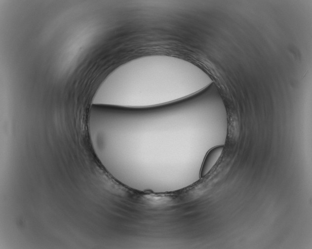 X0000113590477200909181052