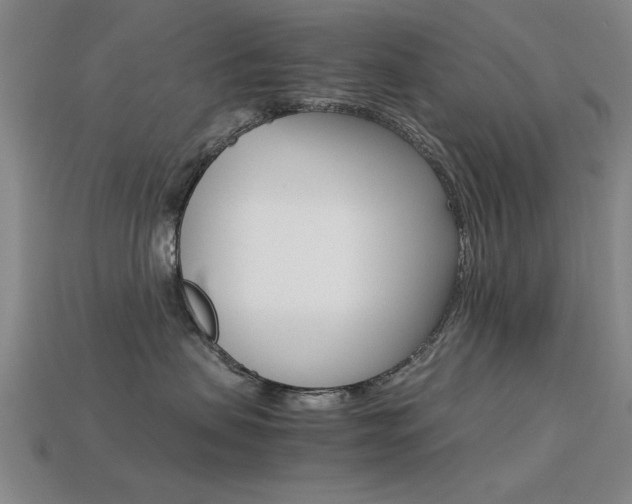 X0000113590479200909181052