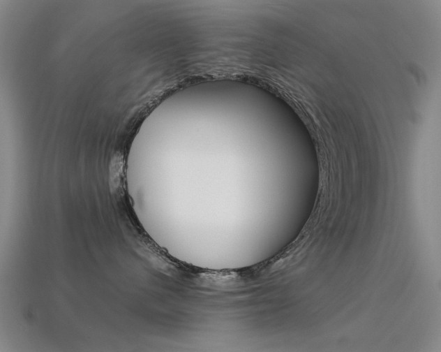 X0000113590480200909181052
