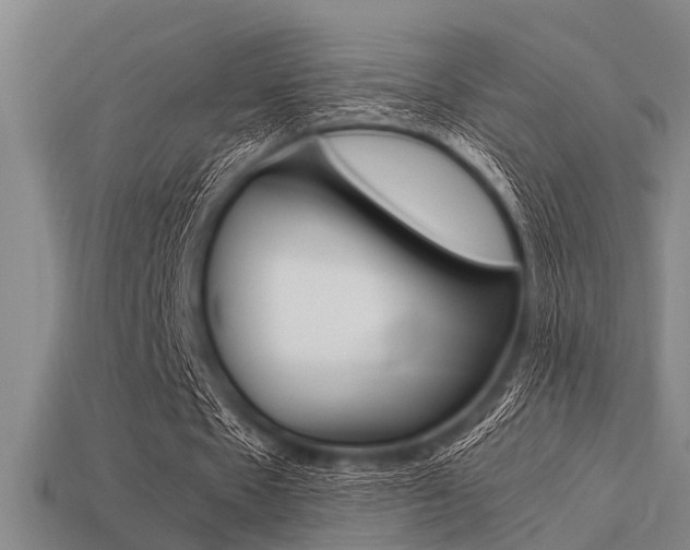 X0000113590481200909181051