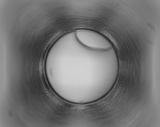 X0000113590482200909181051