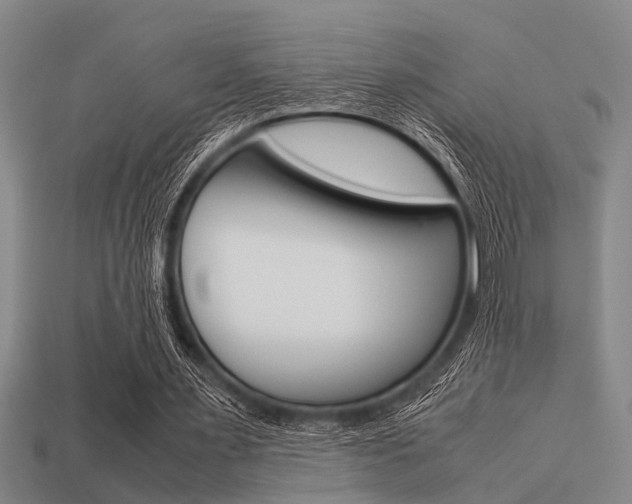 X0000113590483200909181051