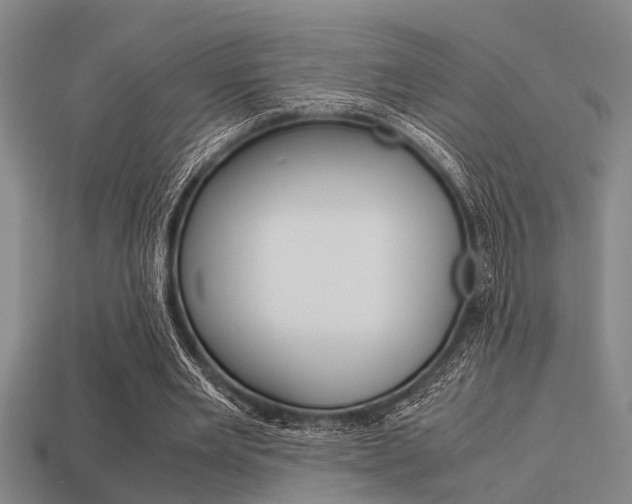 X0000113590485200909181051