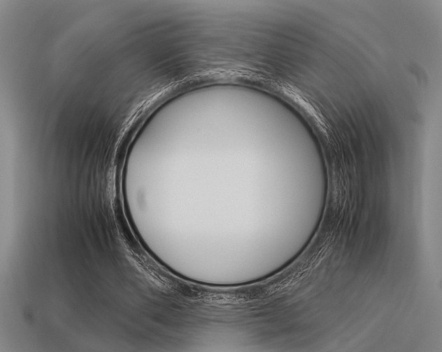 X0000113590486200909181051