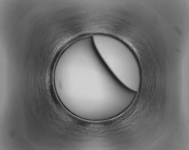X0000113590487200909181051