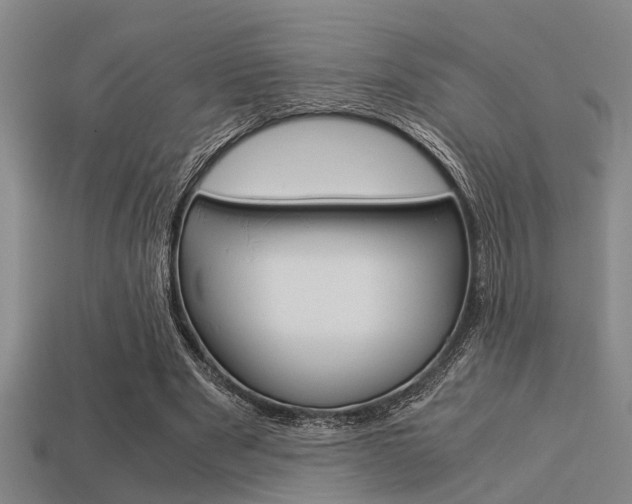 X0000113590489200909181051