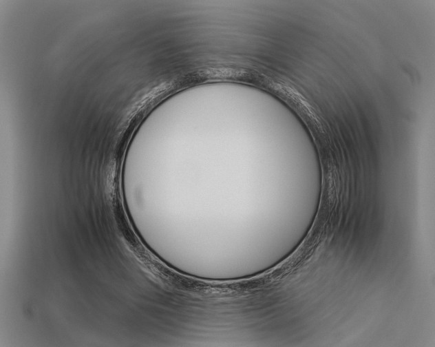 X0000113590490200909181051