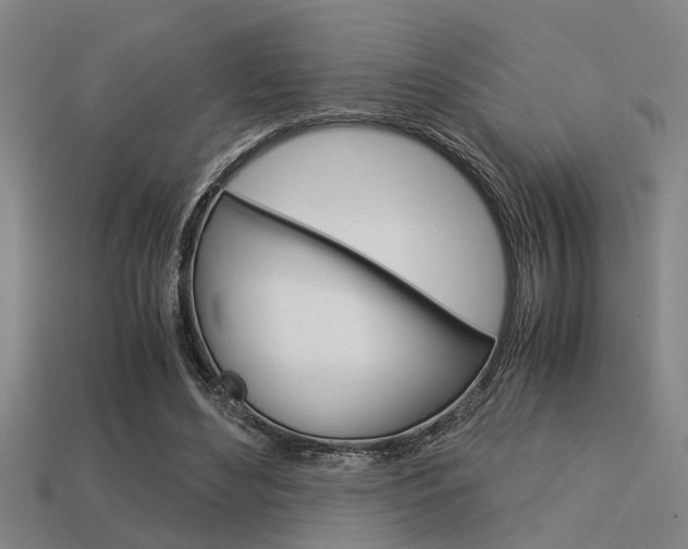 X0000113590492200909181051