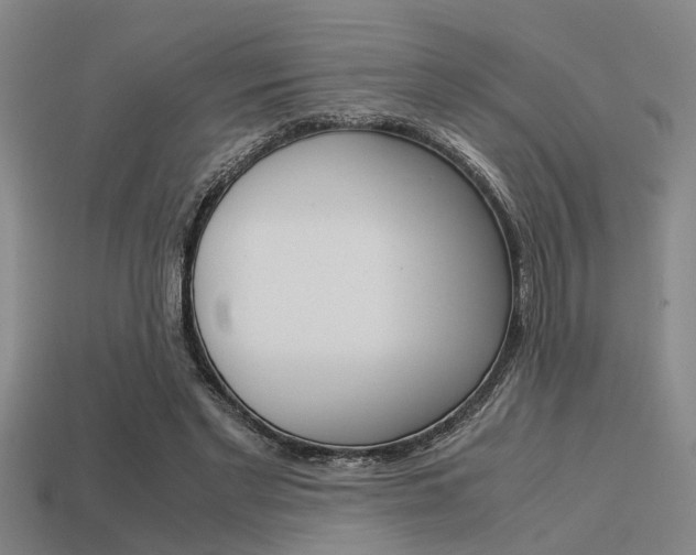 X0000113590493200909181051