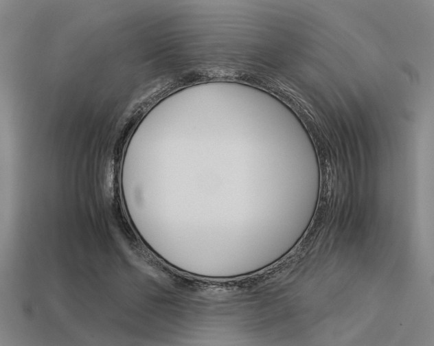 X0000113590494200909181051