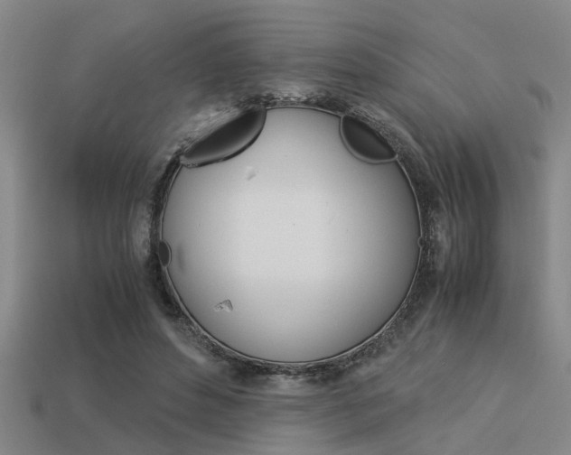 X0000113590496200909181051