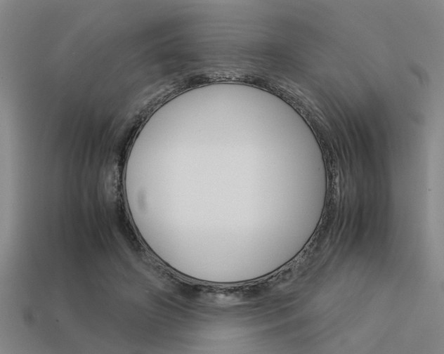 X0000113590498200909181051