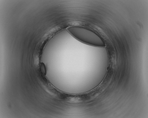 X0000113590500200909181051
