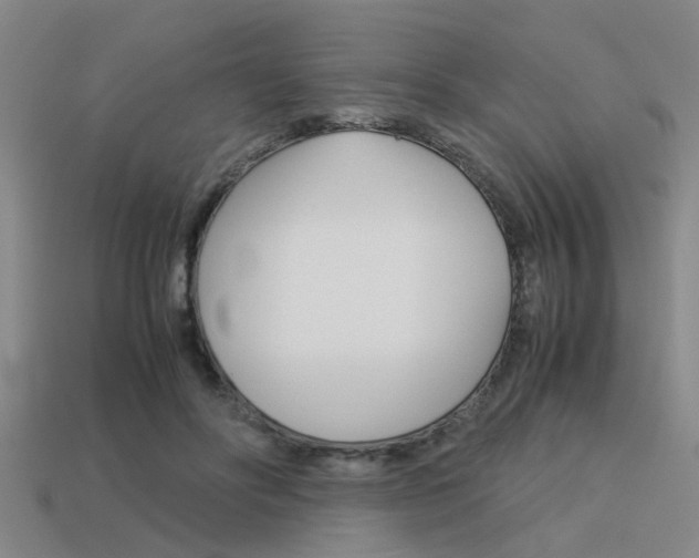 X0000113590502200909181051