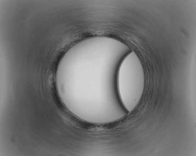 X0000113590503200909181051