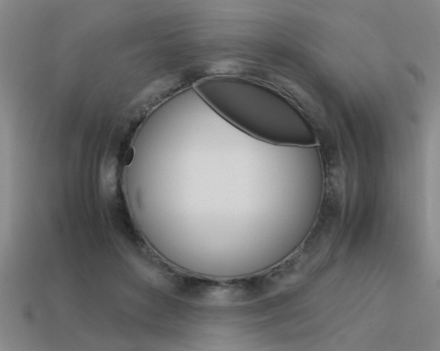 X0000113590504200909181051