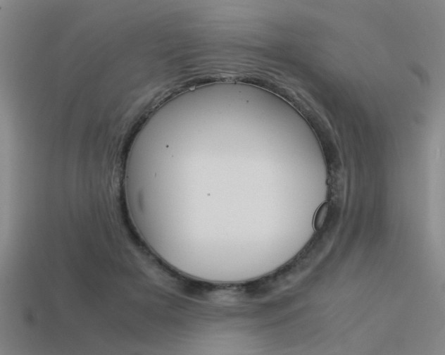 X0000113590505200909181051