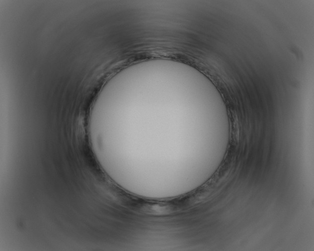 X0000113590506200909181051