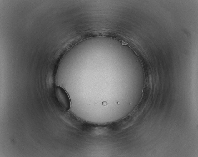 X0000113590508200909181051