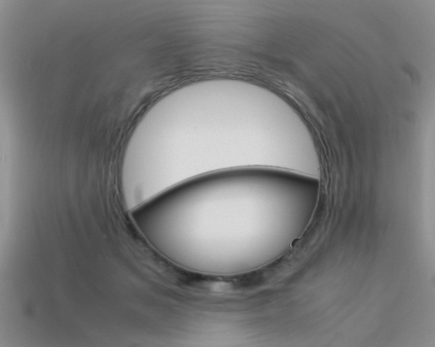 X0000113590509200909181051