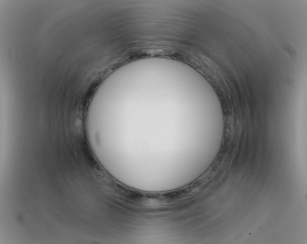 X0000113590510200909181051