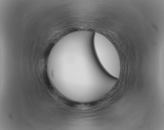 X0000113590511200909181051