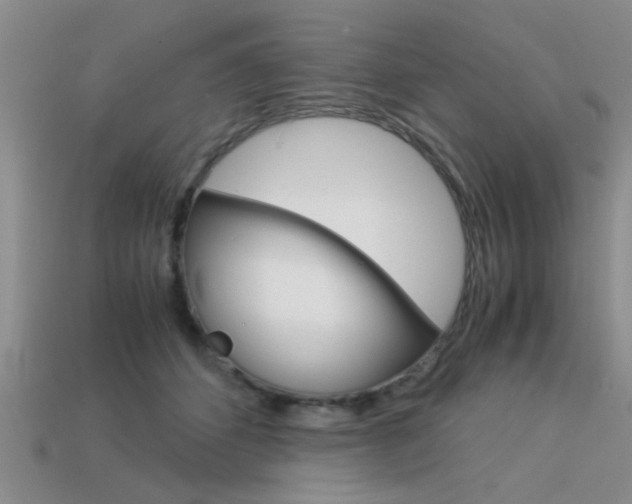 X0000113590512200909181051