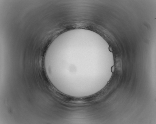 X0000113590514200909181051