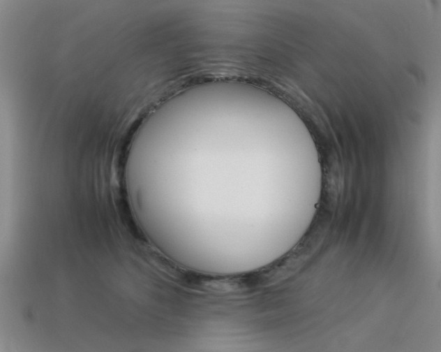 X0000113590516200909181051