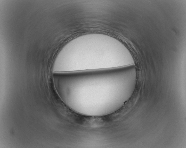 X0000113590517200909181051