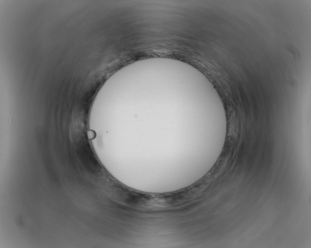 X0000113590518200909181051
