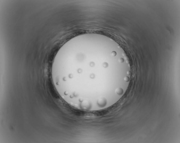 X0000113590519200909181051