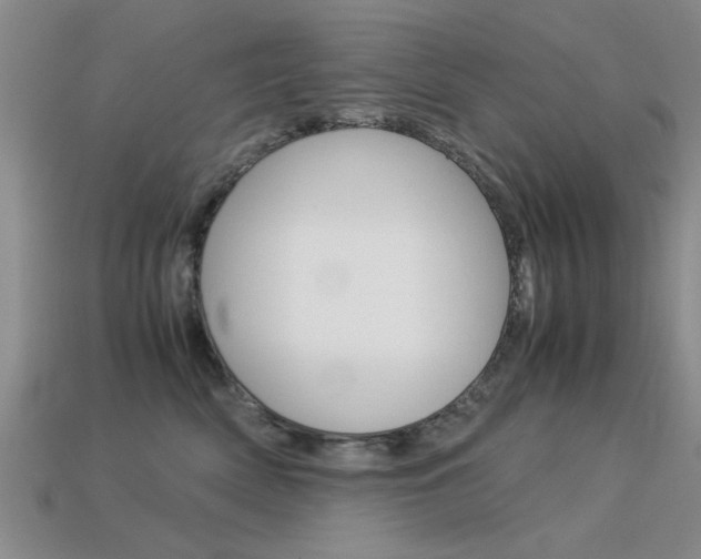 X0000113590522200909181050