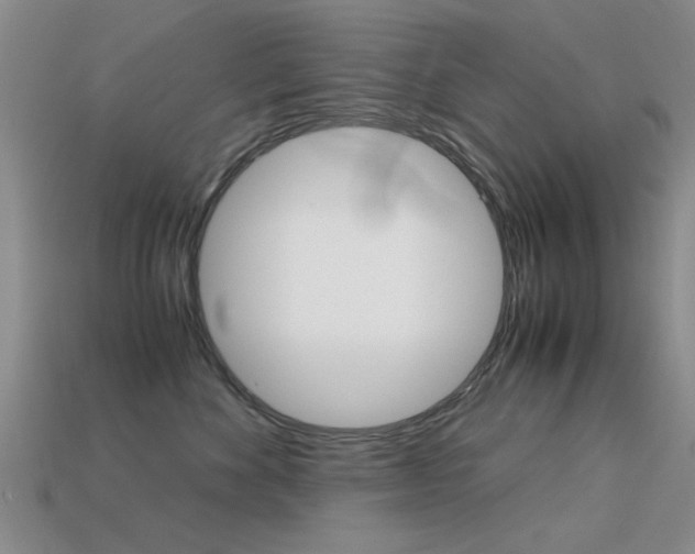 X0000113590524200909181050