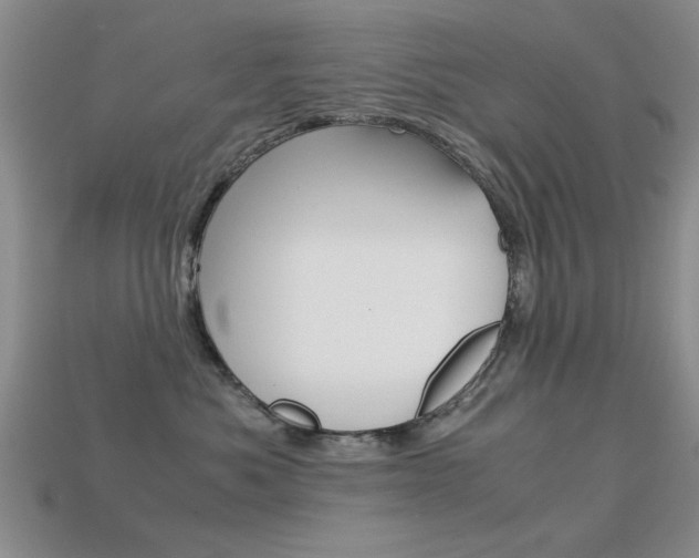 X0000113590525200909181050
