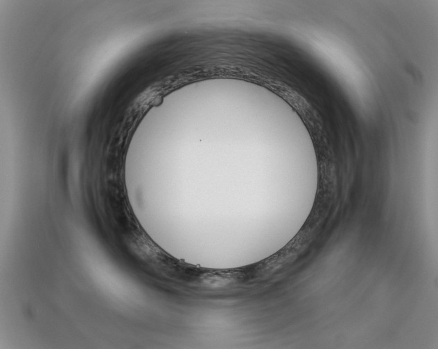 X0000113590526200909181050