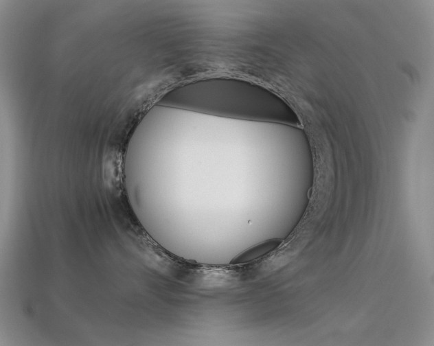 X0000113590528200909181050