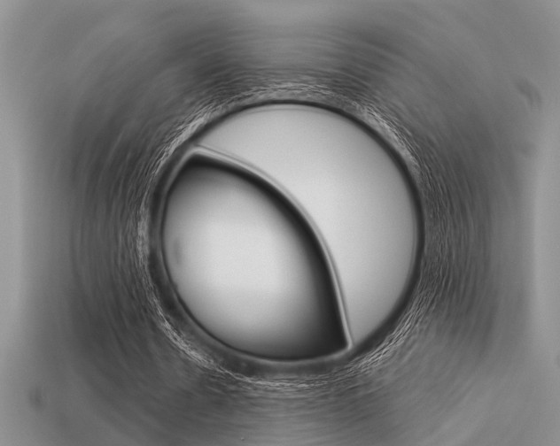 X0000113590530200909181050