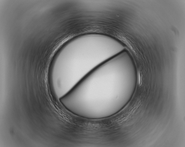 X0000113590531200909181050