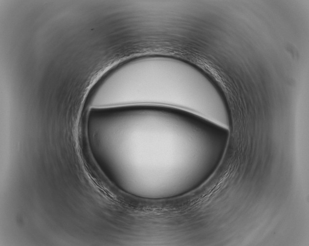 X0000113590532200909181050